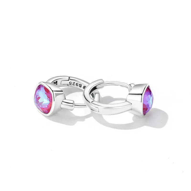 (image for) Pandora Style Mocha Fluorescent Hoop Earrings - SCE1412 - View 4