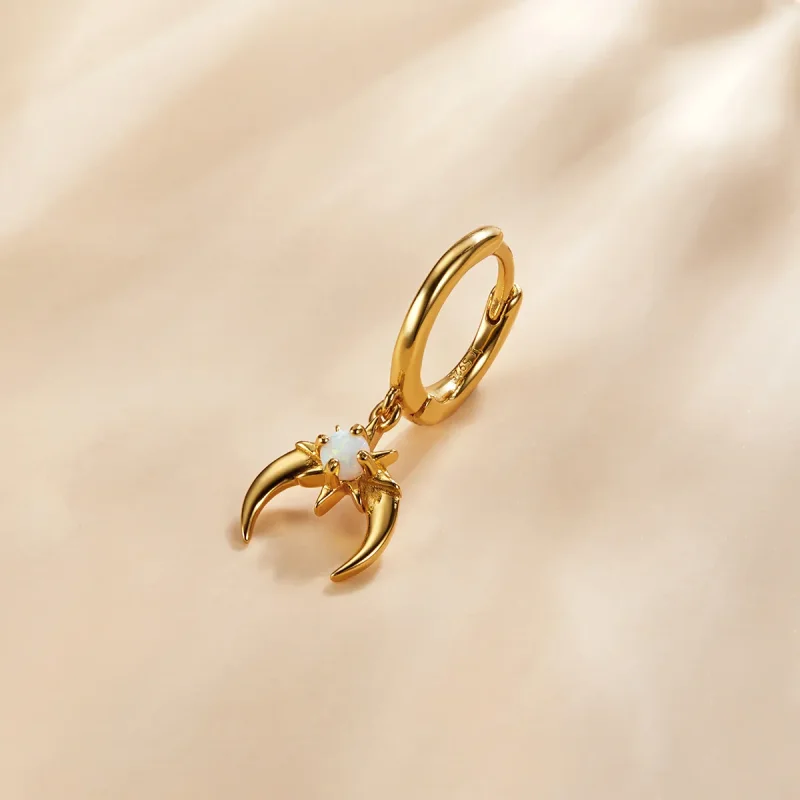 (image for) Pandora Style Mysterious Spain - Starburst Hoop Earrings - SCE1145 - View 4