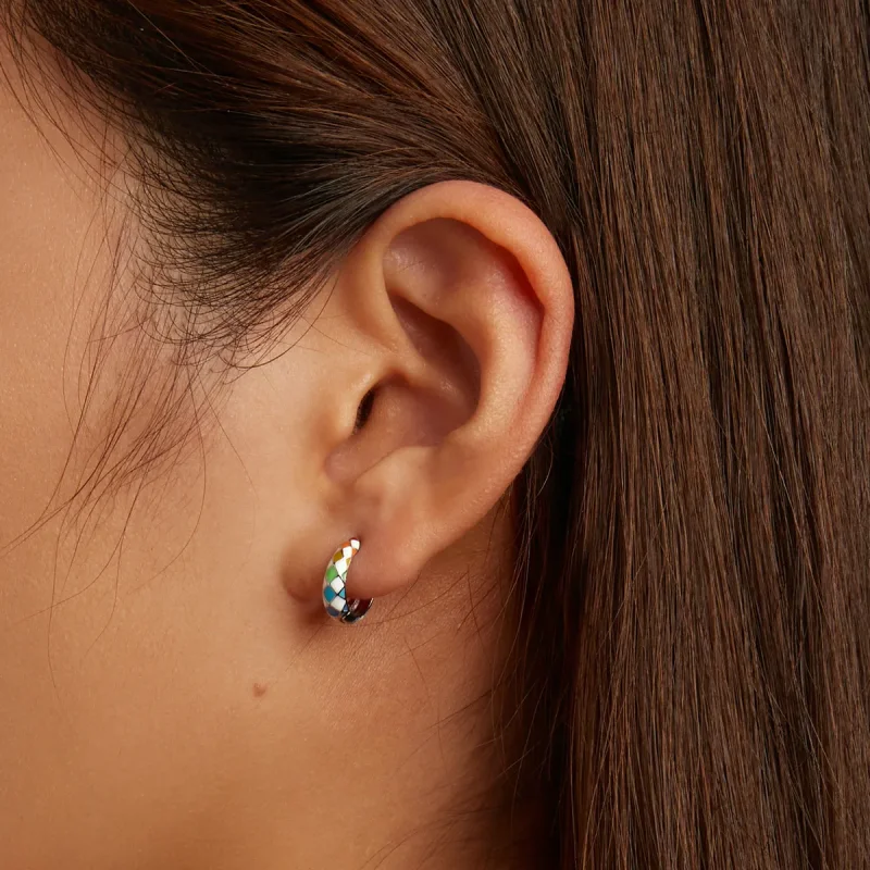 (image for) Pandora Style Rainbow Checkerboard Hoop Earrings - SCE1351 - View 8