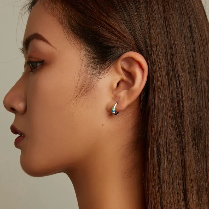 (image for) Pandora Style Rainbow Checkerboard Hoop Earrings - SCE1351 - View 11