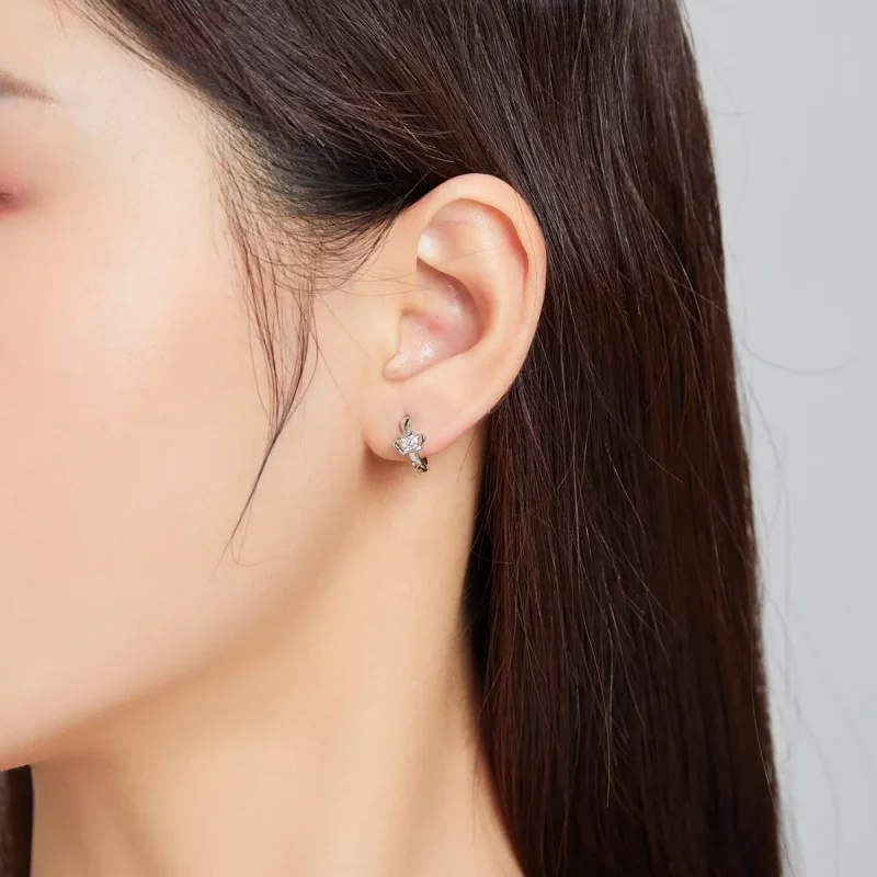 (image for) Pandora Style Shining Crown Hoop Earrings - SCE1044 - View 6
