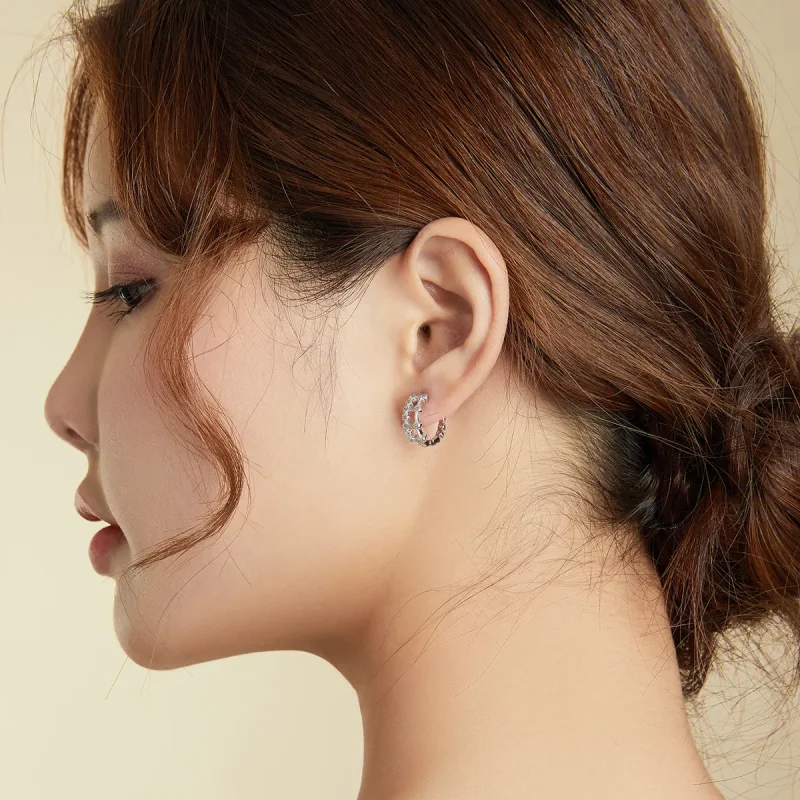 (image for) Pandora Style Simple Double Layer Hoop Earrings - BSE458 - View 8