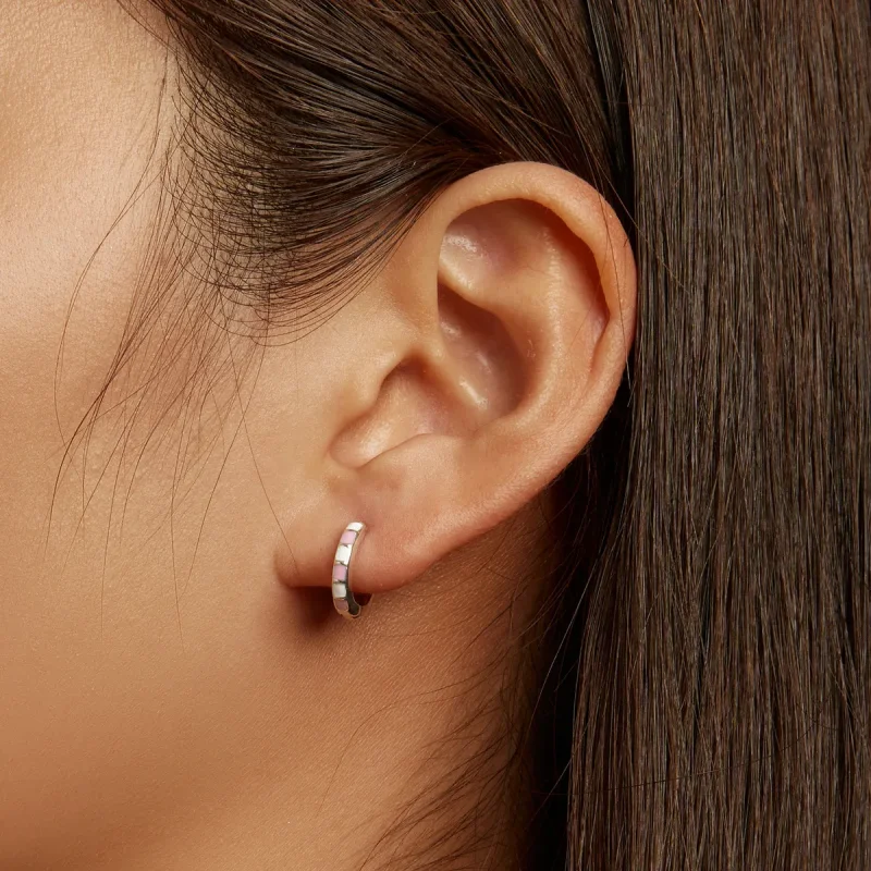 (image for) Pandora Style Simple Grid Hoop Earrings - SCE1372 - View 6
