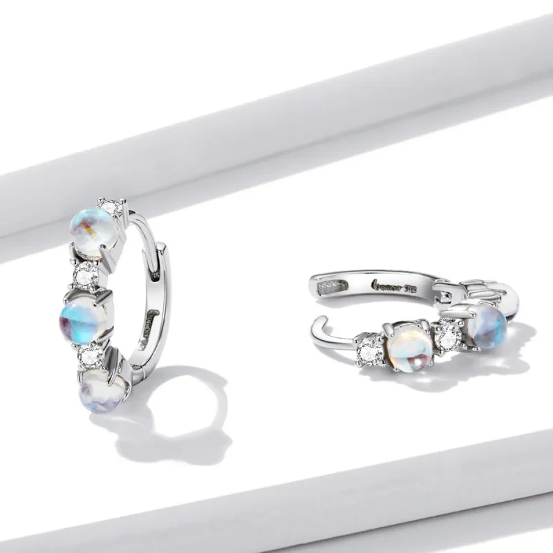 (image for) Pandora Style Simple Hoop Earrings - BSE532 - View 3