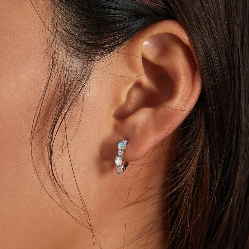 (image for) Pandora Style Simple Hoop Earrings - BSE532 - View 7