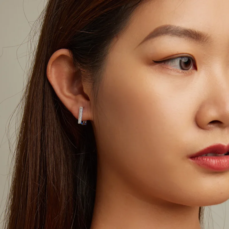 (image for) Pandora Style Simple Square Hoop Earrings - SCE1504 - View 5
