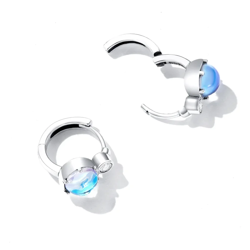 (image for) Pandora Style Simple Symphony Hoop Earrings - SCE1411 - View 3
