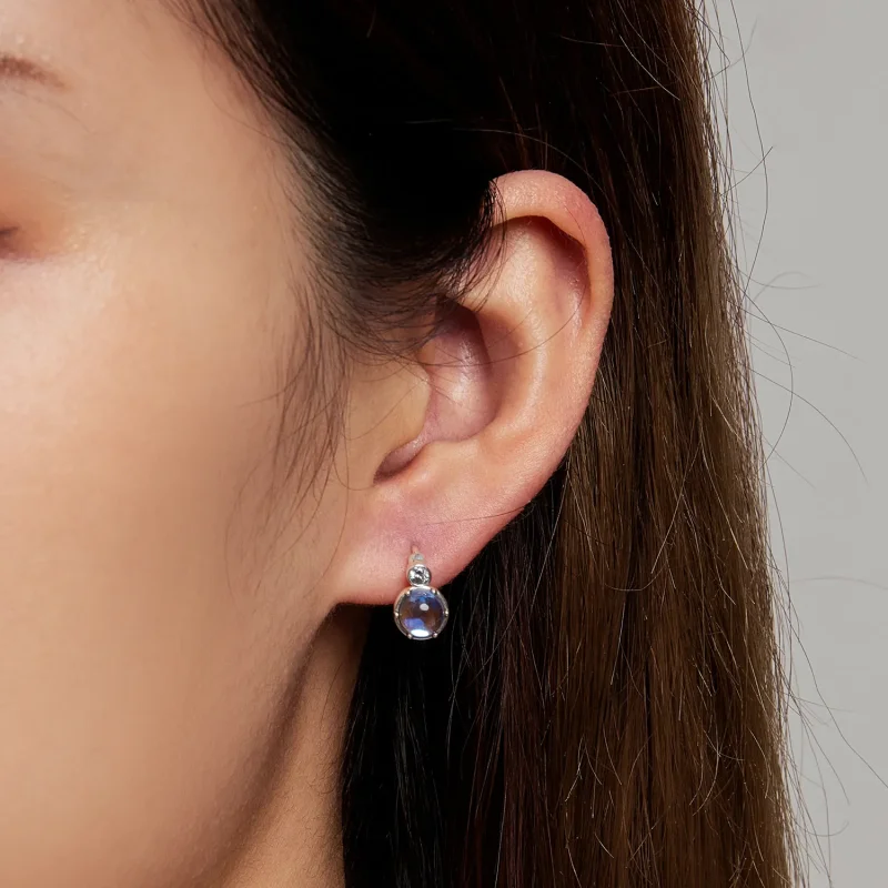 (image for) Pandora Style Simple Symphony Hoop Earrings - SCE1411 - View 6