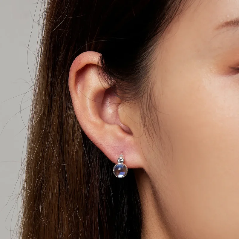 (image for) Pandora Style Simple Symphony Hoop Earrings - SCE1411 - View 7