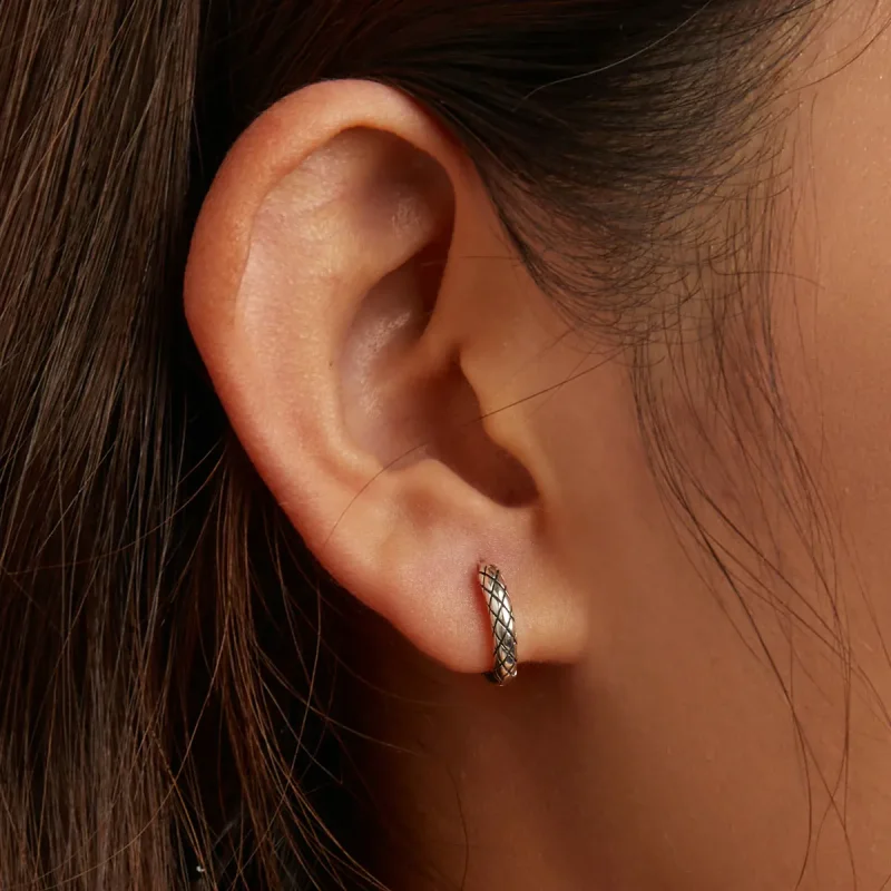 (image for) Pandora Style Snake Pattern Hoop Earrings - SCE1354 - View 5