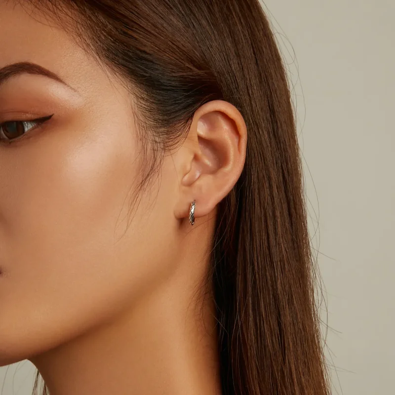 (image for) Pandora Style Snake Pattern Hoop Earrings - SCE1354 - View 6