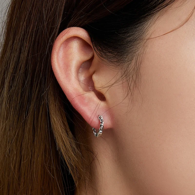 (image for) Pandora Style Twisted Rope Hoop Earrings - SCE1432 - View 5