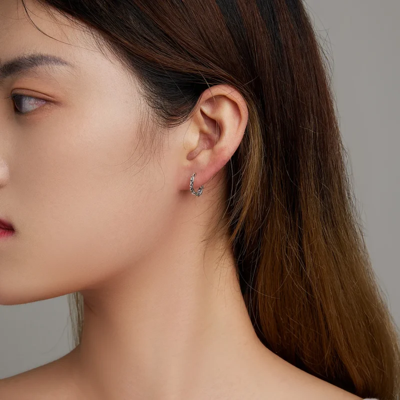 (image for) Pandora Style Twisted Rope Hoop Earrings - SCE1432 - View 7