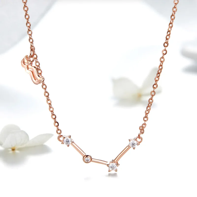 (image for) Pandora Style Aquarius Necklace - BSN016 - View 2
