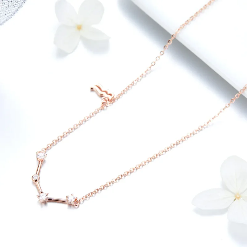(image for) Pandora Style Aquarius Necklace - BSN016 - View 3