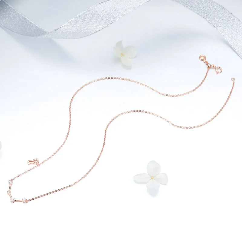 (image for) Pandora Style Aquarius Necklace - BSN016 - View 5