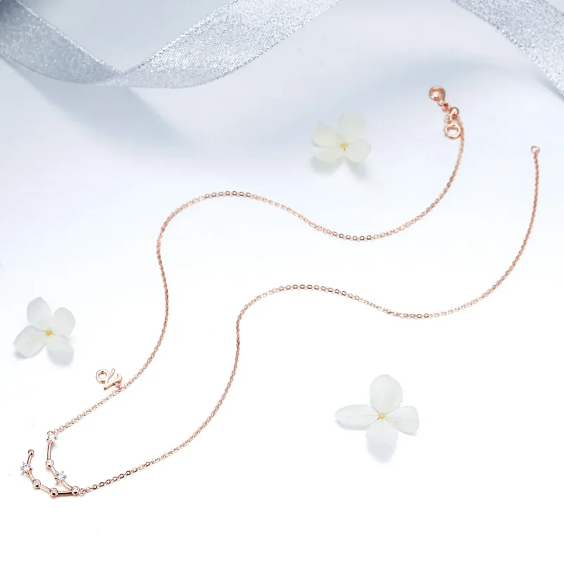 (image for) Pandora Style Capricorn Necklace - BSN026 - View 5