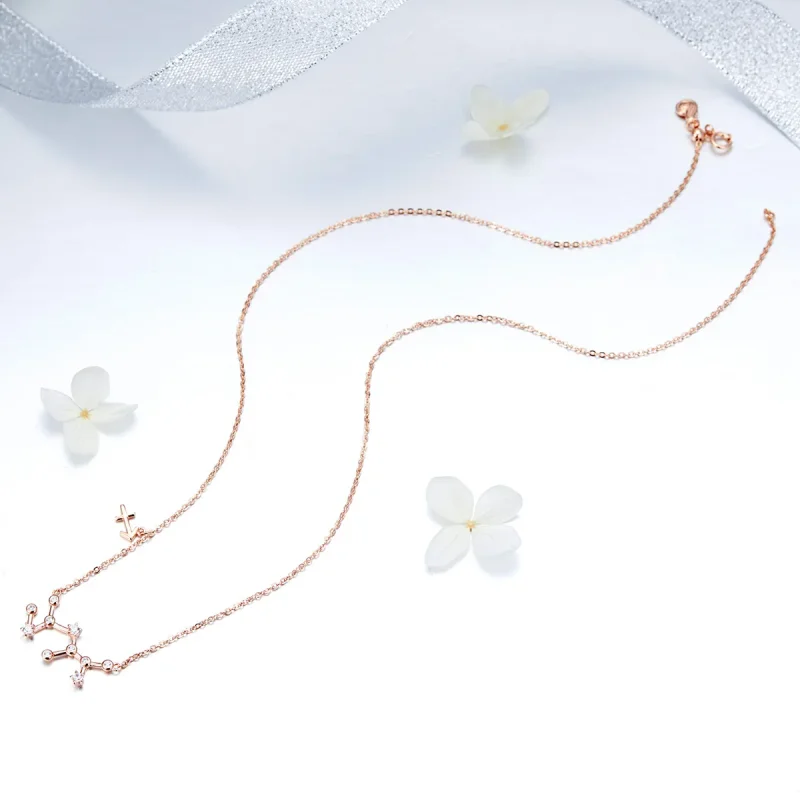 (image for) Pandora Style Sagittarius Necklace - BSN019 - View 5