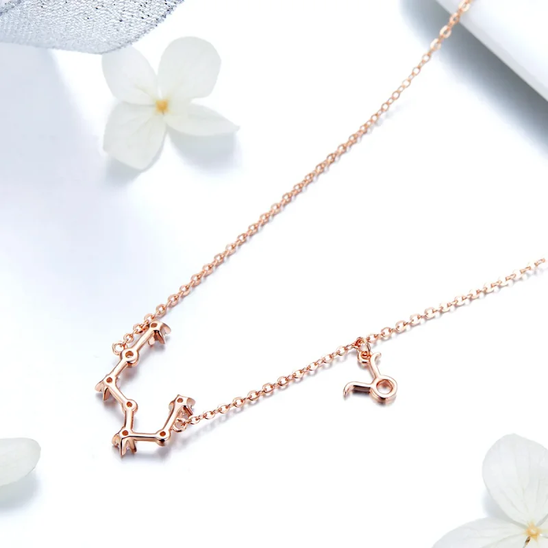 (image for) Pandora Style Taurus Necklace - BSN024 - View 4