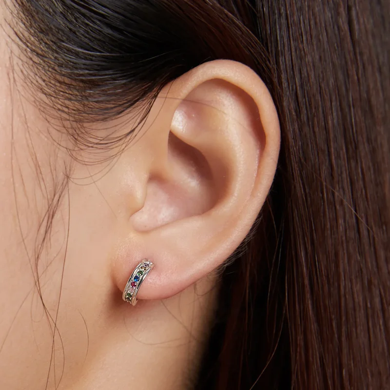(image for) Pandora Style Arc Stud Earrings - SCE1168 - View 4