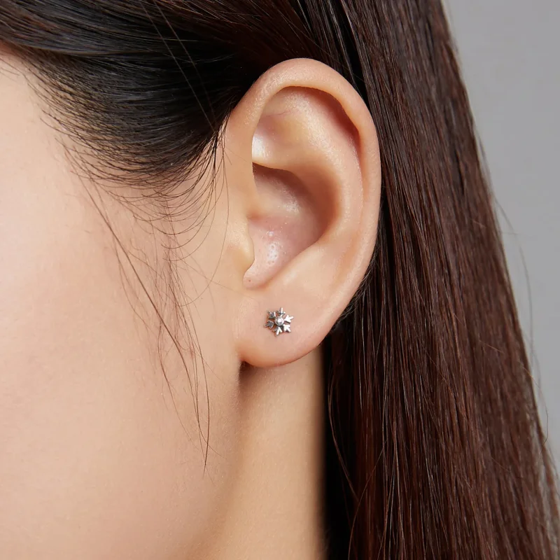 (image for) Pandora Style Beautiful Snowflakes Stud Earrings - BSE529 - View 6