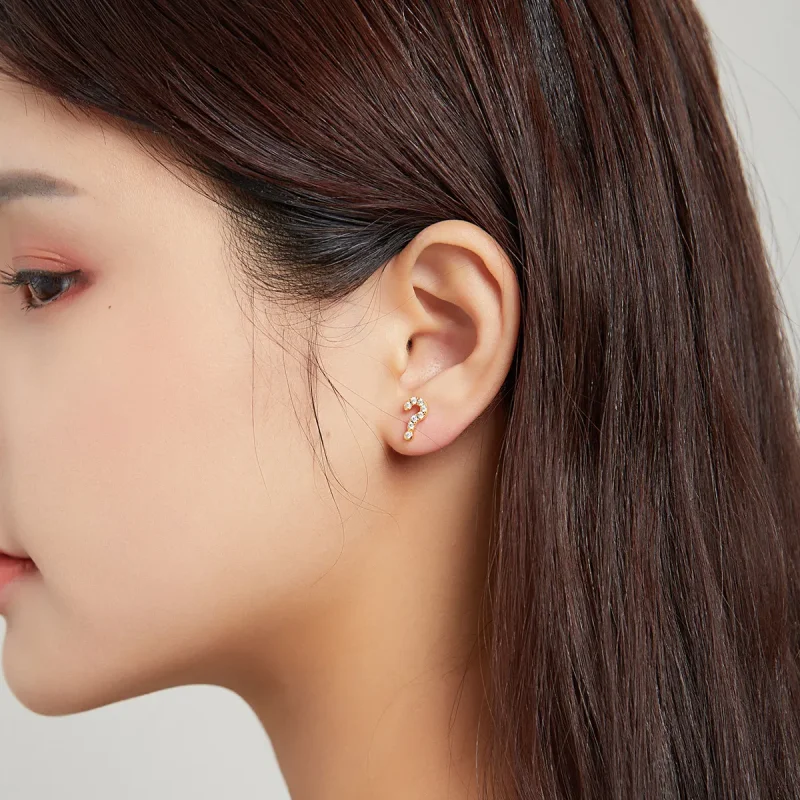 (image for) Pandora Style Secret Symbol - ? Stud Earrings - SCE1073 - View 5