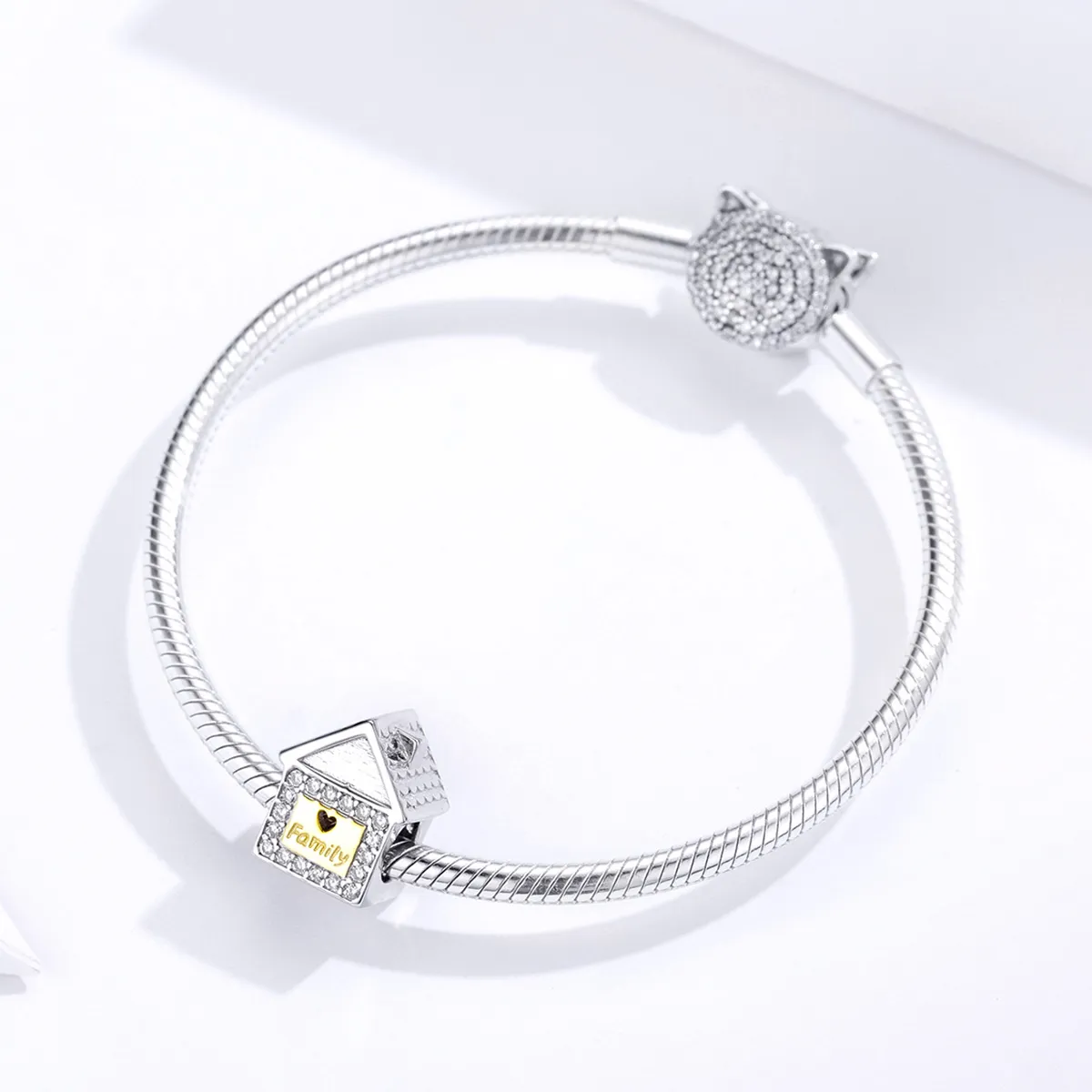 Pandora Style Two Tone Bicolor Forever Family Charm - SCC1330