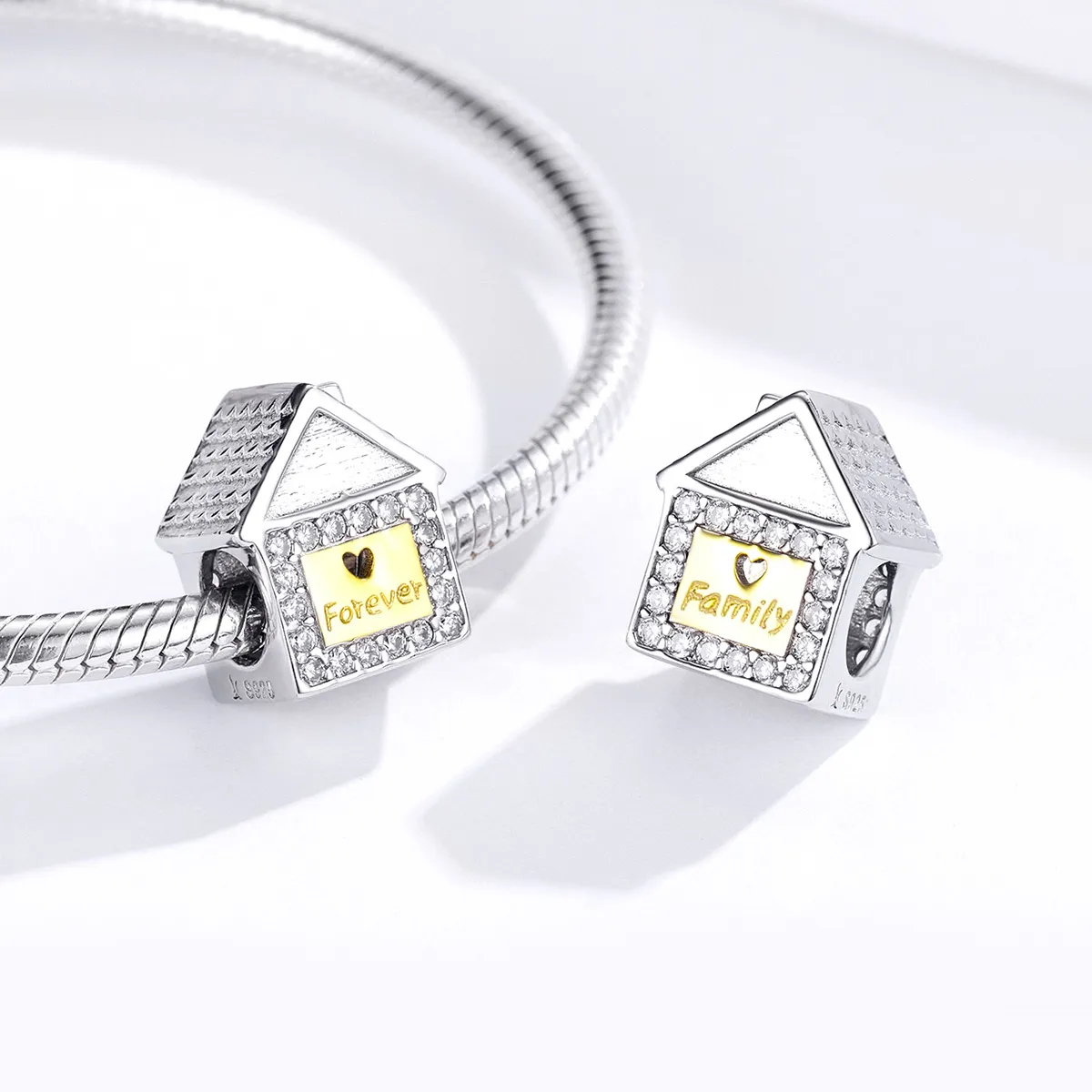Pandora Style Two Tone Bicolor Forever Family Charm - SCC1330