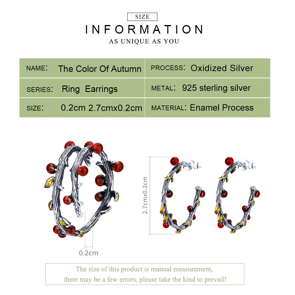 Pandora Style Color of Autumn Jewelry set - SET005