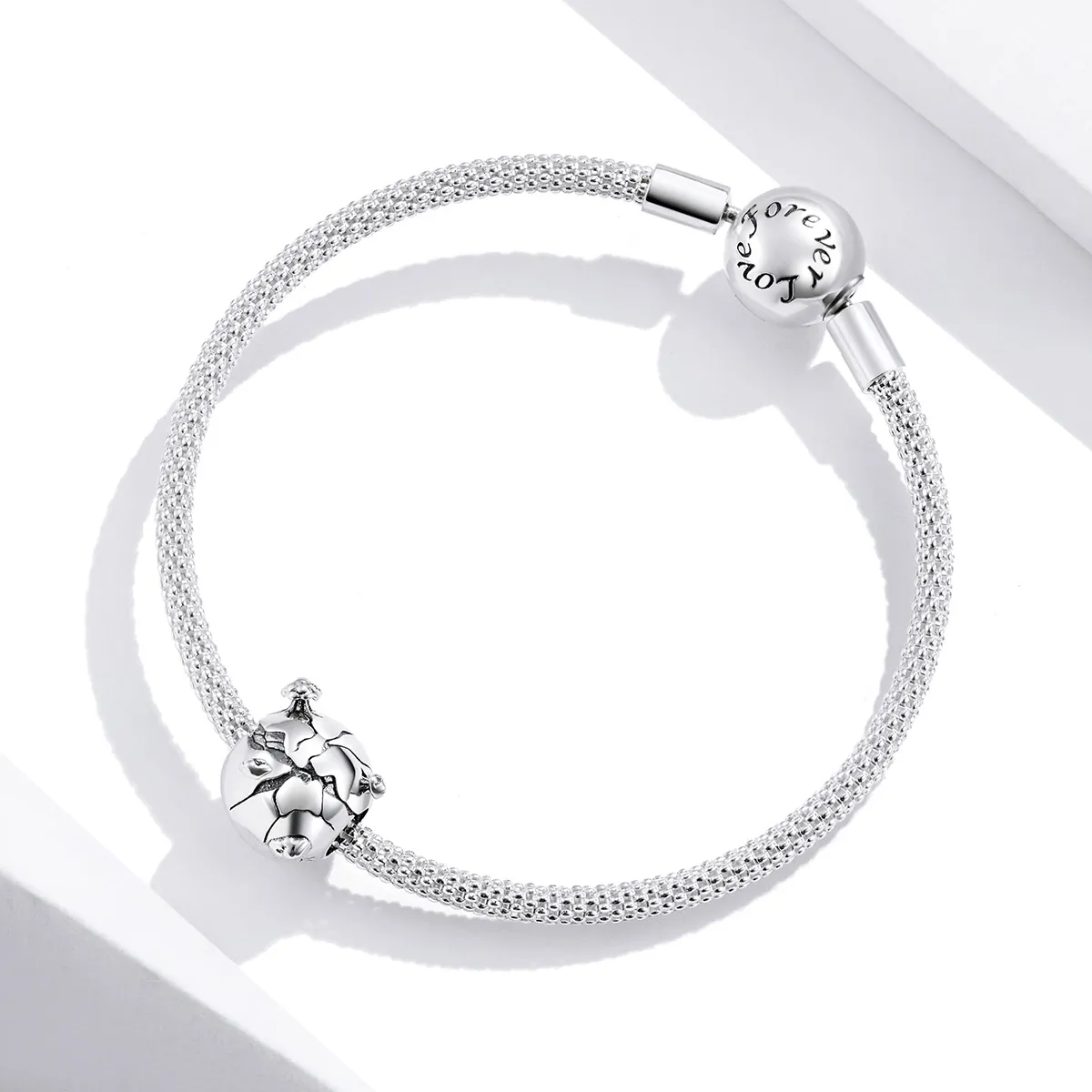 Pandora Style Protect The Earth Charm - SCC1581