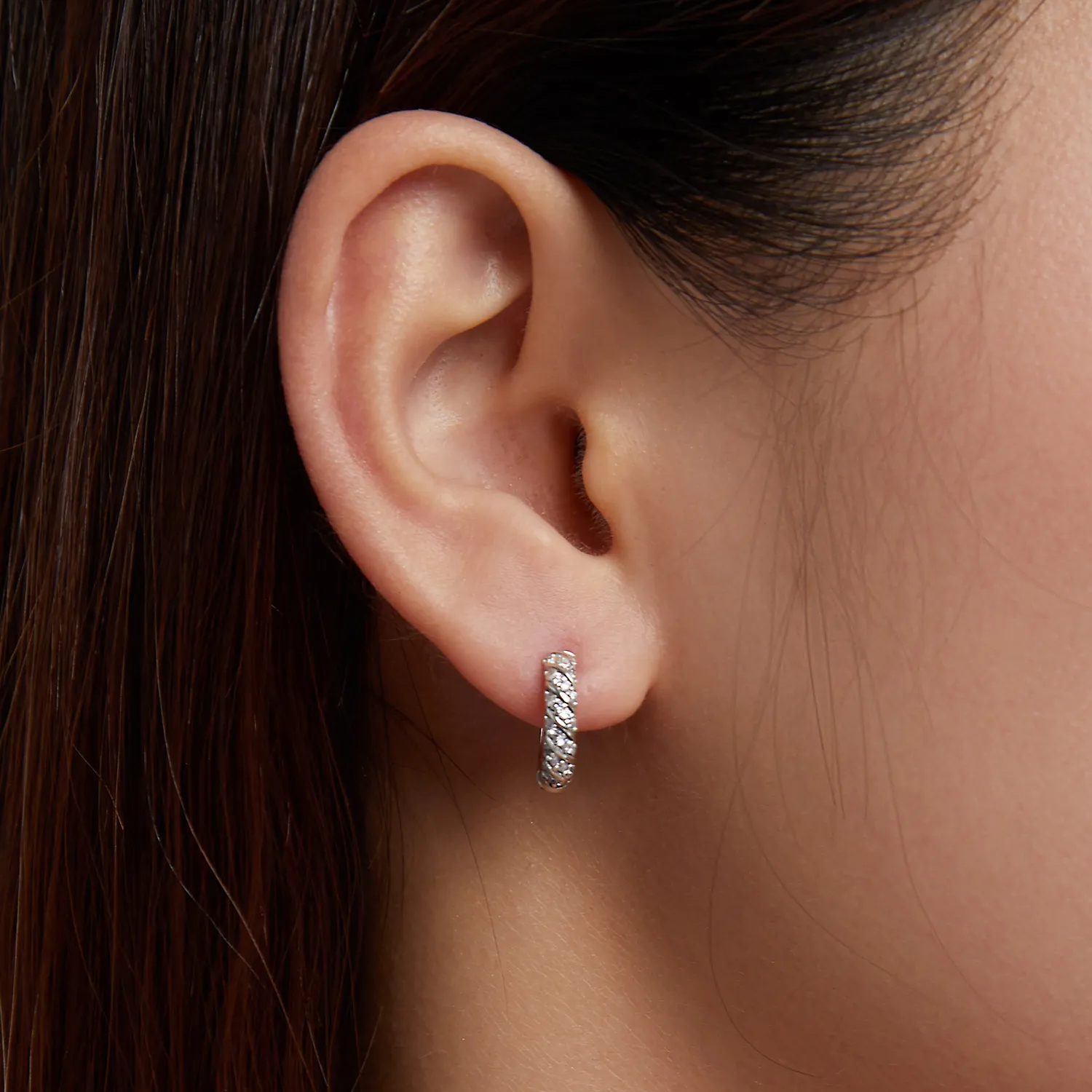 Pandora Style Elegant Woman Hoop Earrings - BSE512