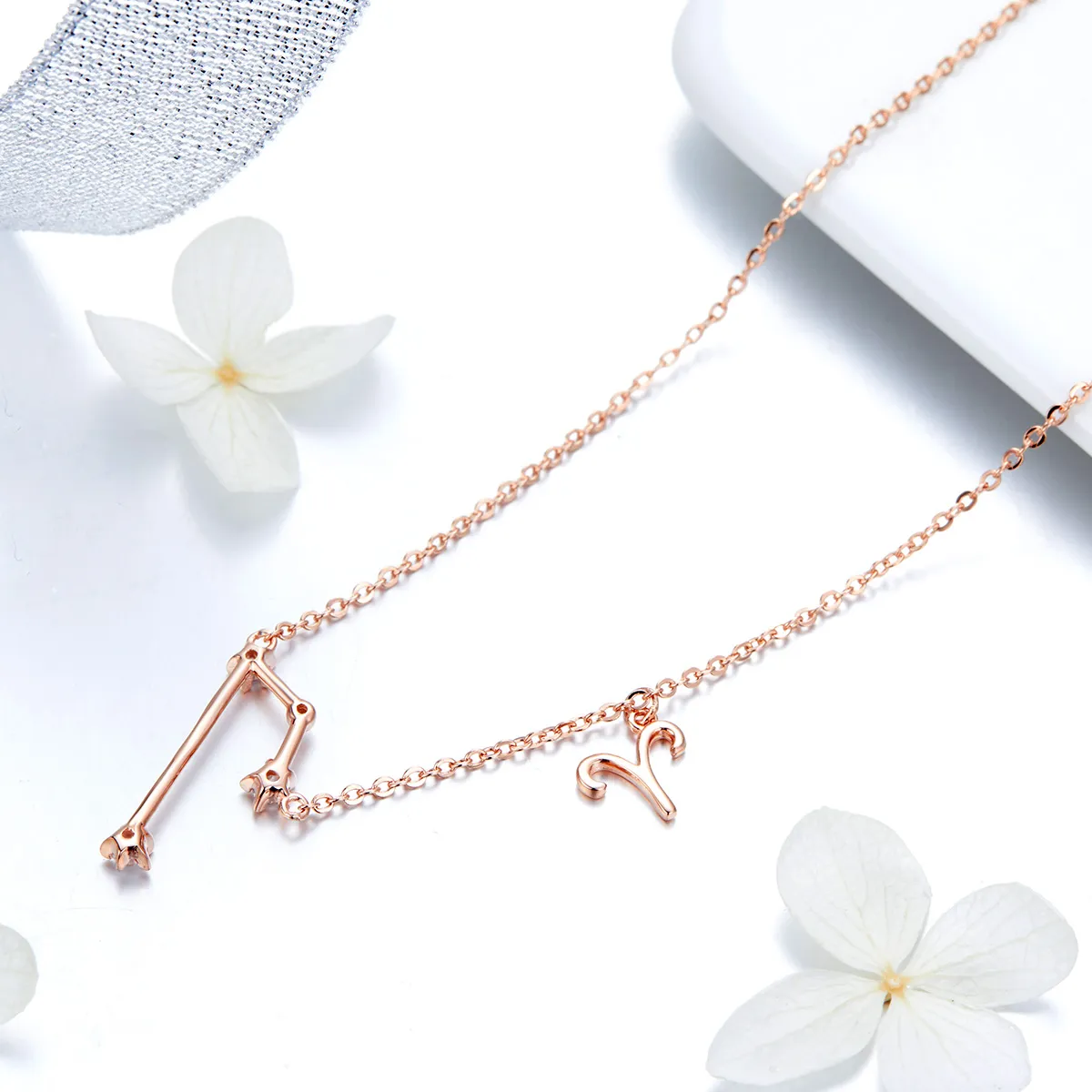 Pandora Style Aries Necklace - BSN023