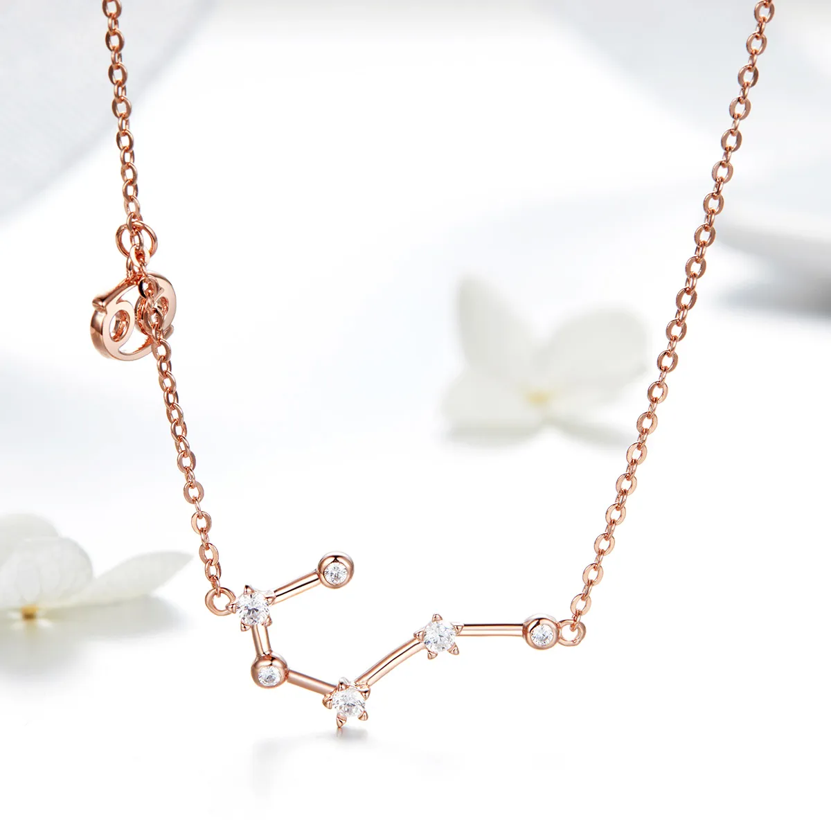 Pandora Style Cancer Necklace - BSN018
