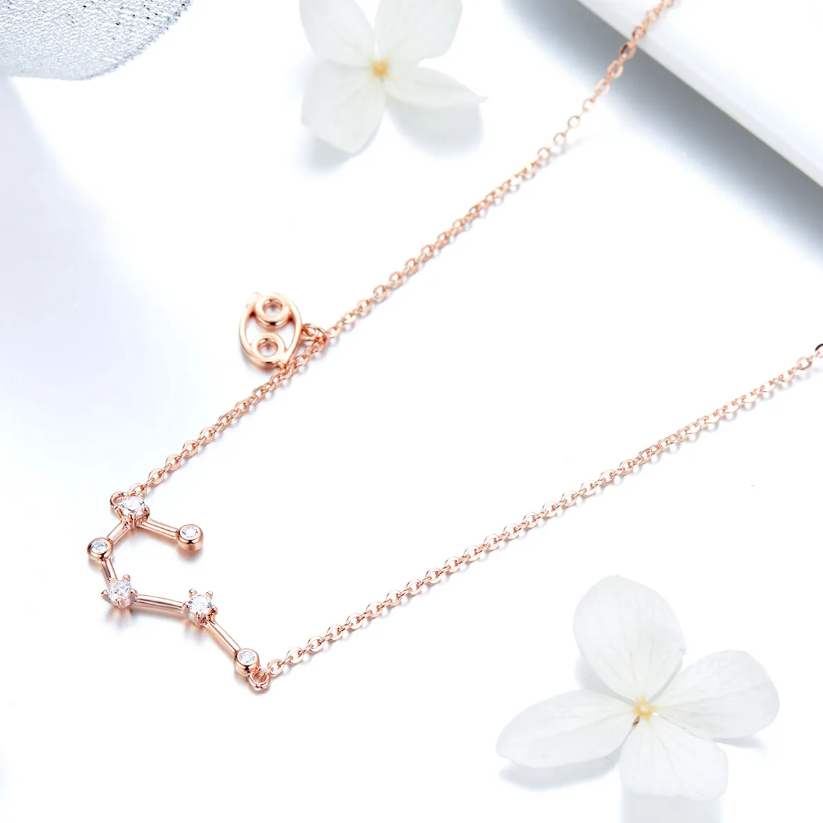 Pandora Style Cancer Necklace - BSN018