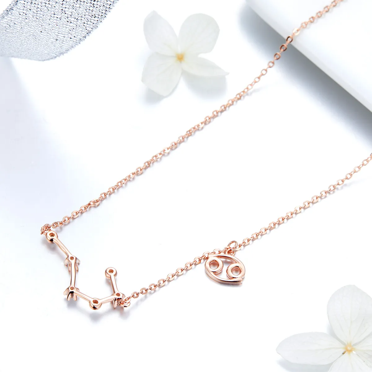 Pandora Style Cancer Necklace - BSN018