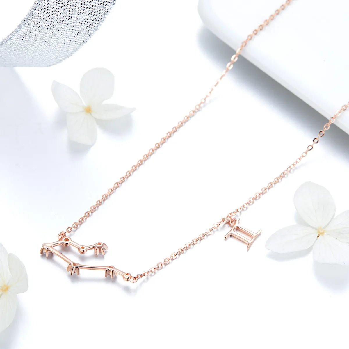 Pandora Style Gemini Necklace - BSN015