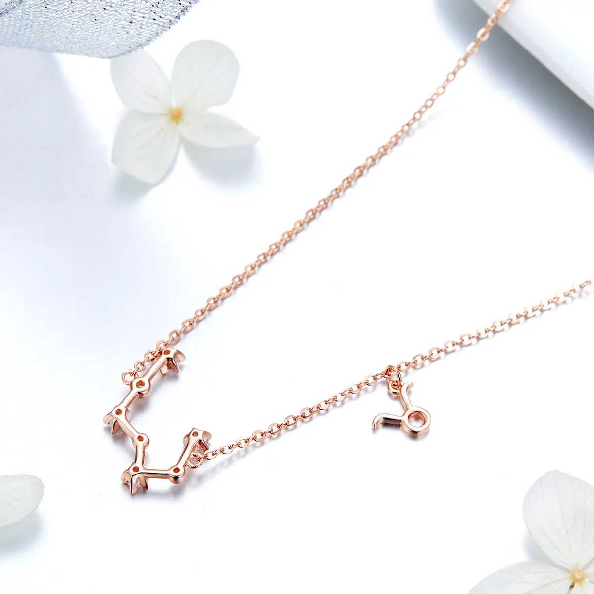 Pandora Style Taurus Necklace - BSN024