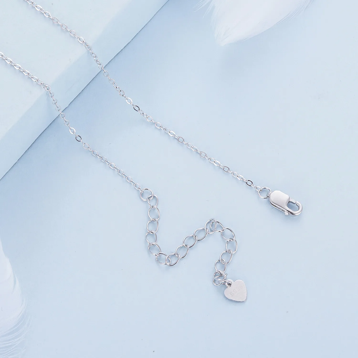 Family Circle Necklace Pandora Style - BSN315